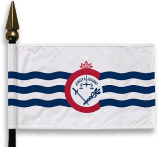 Cincinnati Mini Flag
